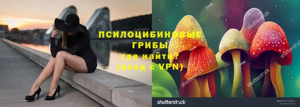 таблы Алзамай