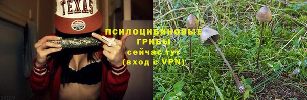 стаф Алексеевка