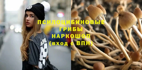 стаф Алексеевка